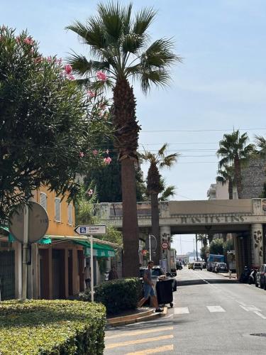 une personne faisant du skateboard dans une rue avec un palmier dans l'établissement Palais du Soleil vacances dans un immeuble art déco, à Antibes