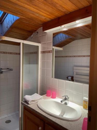 un baño con lavabo y espejo en CHALET HOLIDAY, en Les Gets