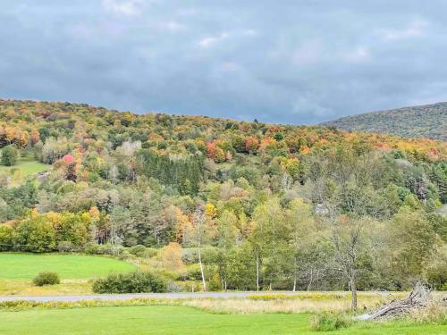 Fotografie z fotogalerie ubytování High-View Catskills Cabin v destinaci Margaretville