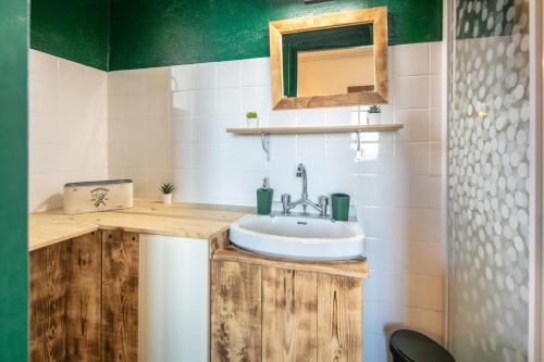 a bathroom with a sink and a mirror at Le Grand Som - Proche Station de ski in Saint-Pierre-de-Chartreuse