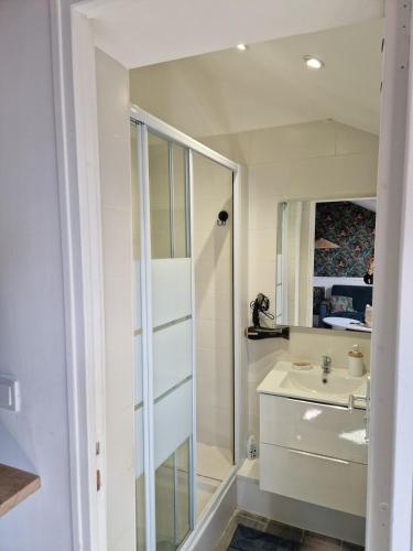 une salle de bain avec une douche, un lavabo et un miroir dans l'établissement Studio entier paris Pantin, à Pantin