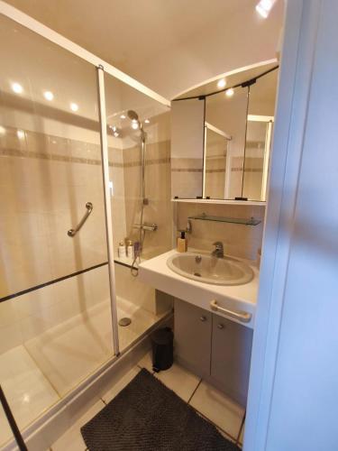 une salle de bain blanche avec une douche et un lavabo dans l'établissement Grand studio les pieds dans l'eau, à San-Nicolao