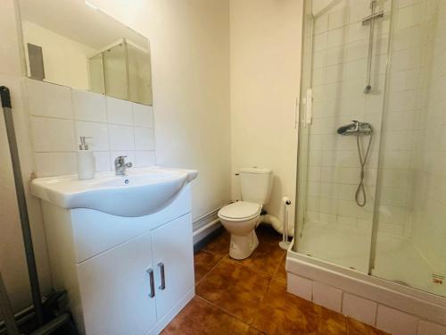 Koupelna v ubytování Grand studio proche centre