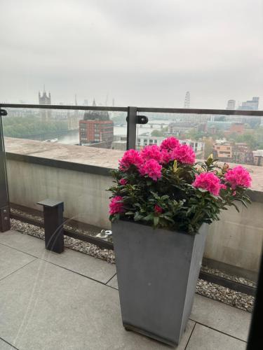 a planter filled with pink flowers on a balcony at Best Penthouse in London in London