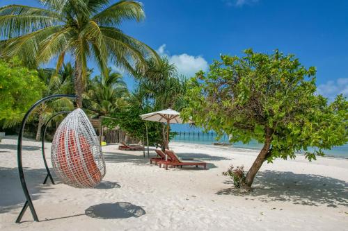 a hammock on a beach with a tree and a bench at Alma Boutique Hotel in Jambiani