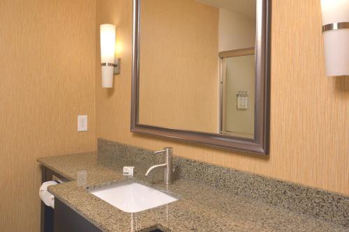 a bathroom with a sink and a mirror at Holiday Inn Express Hotel & Suites Clemson - University Area by IHG in Clemson