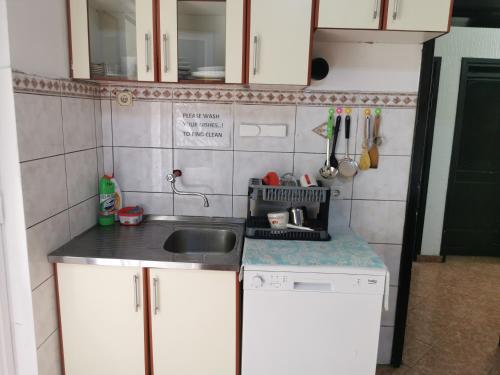 a small kitchen with a sink and a dishwasher at Stars Aspava Blue HOSTEL in Podgorica