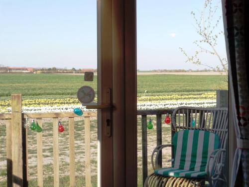 a porch with a chair and a field of flowers at Camping Hofstede Zonnevliet - Pipo wagen in Zonnemaire