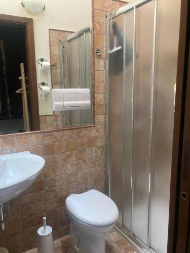 a bathroom with a shower and a toilet and a sink at Rustico di Benellini Angela in Polpenazze del Garda