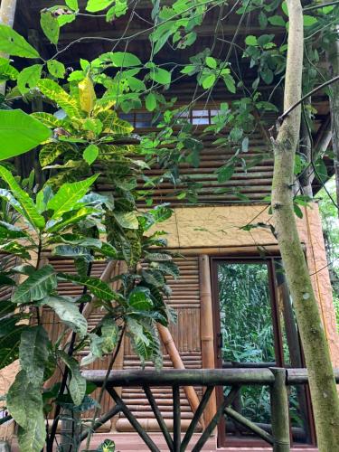 a building with a tree in front of it at El Mono de Pacoche in Manta