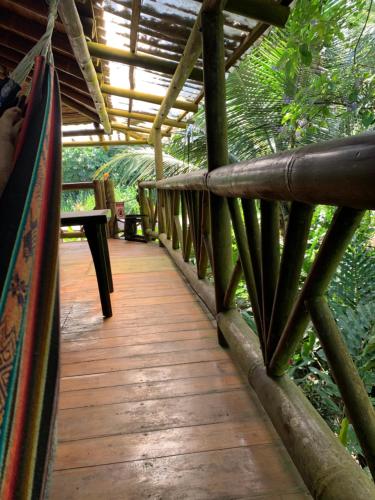 a wooden walkway in a forest with a table at El Mono de Pacoche in Manta