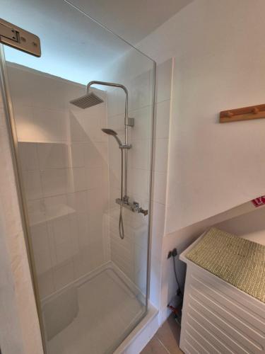 a shower with a glass door in a bathroom at Kühweg Apartments in Hermagor