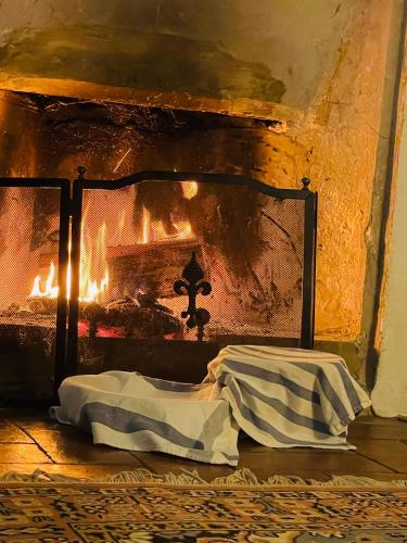 a fireplace with a bed in front of it at B&B Il Conte Giacomo in Viarolo