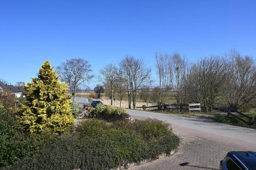 a tree on the side of a road at Pferdekoppel-im-Haus-zwischen-den-Wassern in Behrensdorf