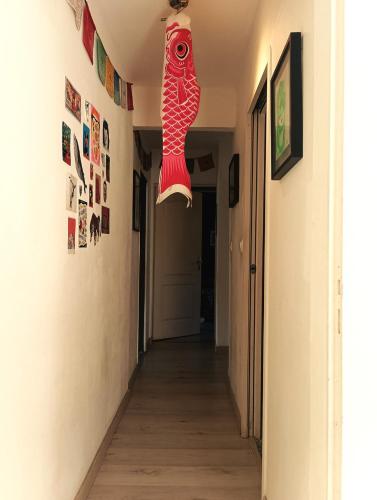 a hallway with a red shoe hanging from the ceiling at Maison agréable, un brin arty in Les Avirons