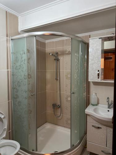 a bathroom with a shower and a toilet and a sink at Ala Pansiyon in Çaykara