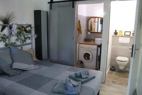 a bedroom with a bed and a washing machine at la villa des six ifs - Le mûrier in Flayosc