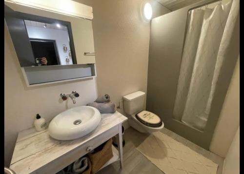 a bathroom with a sink and a toilet and a mirror at Hygge Style Apartment in Steckborn