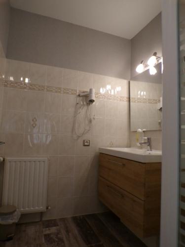 un bagno con lavandino e specchio di Le Logis de la Venise Verte a Saint-Hilaire-la-Palud