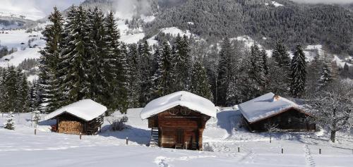 le Farfadet durante el invierno