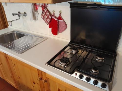 a kitchen counter with a stove and a sink at Chiesa in Valmalenco Vassalini 1 in Caspoggio