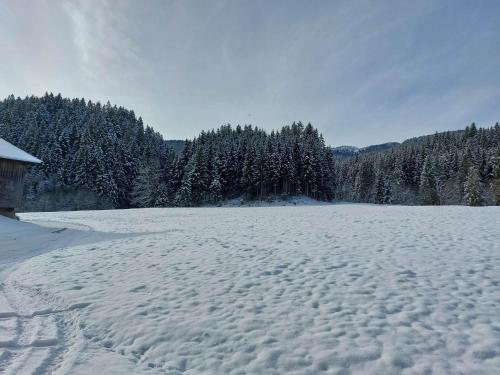 a field covered in snow with trees in the background at Schwaighof in Oberau
