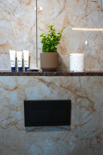 a shelf with three cups and a plant on it at Nexus Green Resort in Calangute