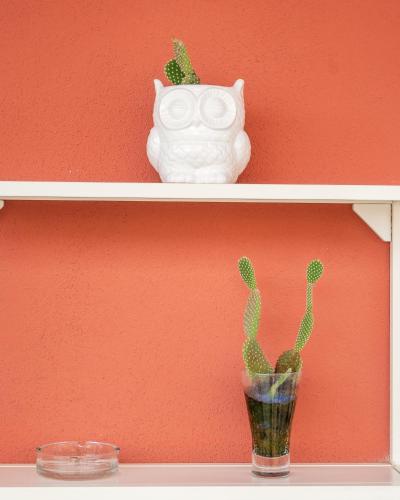a shelf with a cactus and a vase on it at Ciccio Rooms and breakfast - Self check-in in Palermo