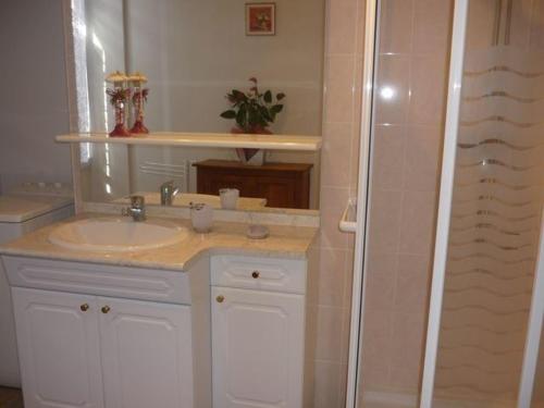 a bathroom with a sink and a shower at Charmante Longère Gâtinaise - Cour et Jardin Clos, Proche Paris et Orléans - FR-1-590-73 in Sceaux-du-Gâtinais