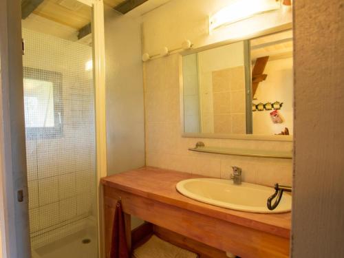 une salle de bain avec un lavabo, un miroir et une douche dans l'établissement Maison avec jardin, WiFi, animaux acceptés, parking à Beynac - FR-1-616-39, à Beynac-et-Cazenac