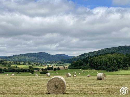a field full of hay bales in a field at Gite du tatou in Roquefeuil