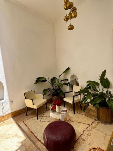 a living room filled with furniture and plants at Riad la Cigale in Marrakech