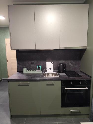 Una cocina o cocineta en RCR Einstein studios 3