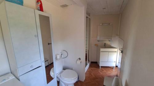 a small bathroom with a toilet and a sink at La castagnal in Jouqueviel