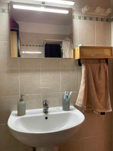 Bilik mandi di Appartement T2 vue mer, piscine Linguizzetta Bravone