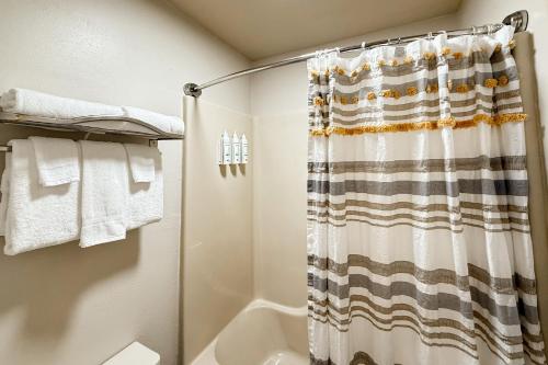 a bathroom with a shower with a shower curtain at Bella Paradiso 01 in Eureka Springs