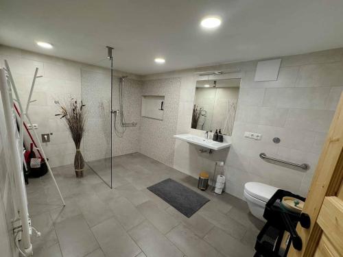 a bathroom with a shower and a toilet and a sink at Ferienwohnung Stoablick - barrierefrei mit Bergblick in Bad Goisern