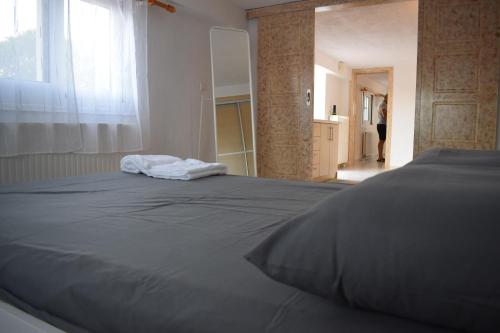 a large bed in a bedroom with a mirror at Traditional apartment in nature in Kouvaláta