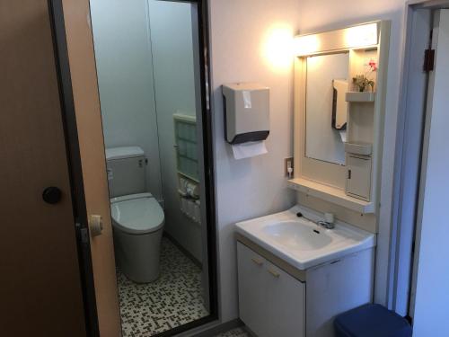 a bathroom with a toilet and a sink and a mirror at Towadako Hostel in Towada
