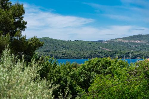 a view of a lake from behind trees at Avdic Apartments in Tivat