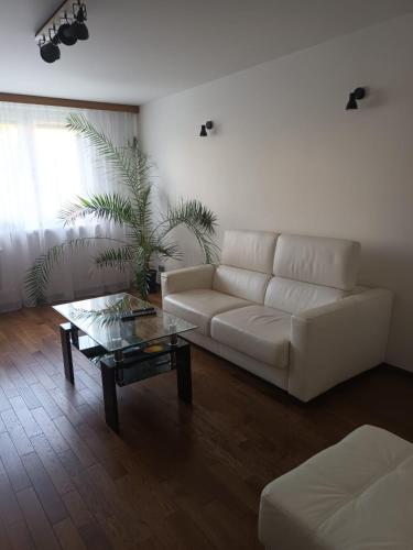 útulný byt v blízkosti centra