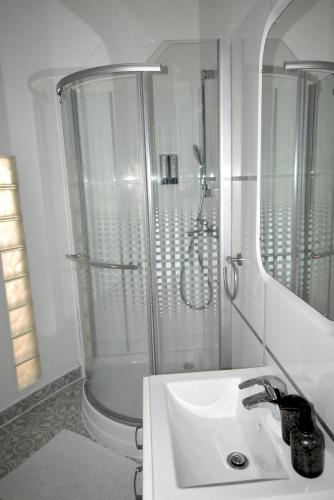 Koupelna v ubytování City center apartment