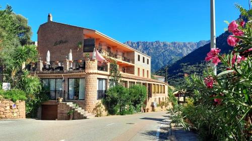 Terra Corsa Duplex T2