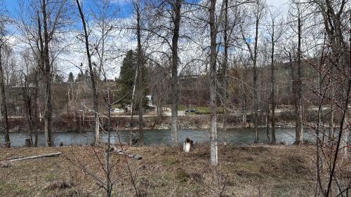 a body of water next to a river with trees at Methow River Lodge and Cabins in Winthrop