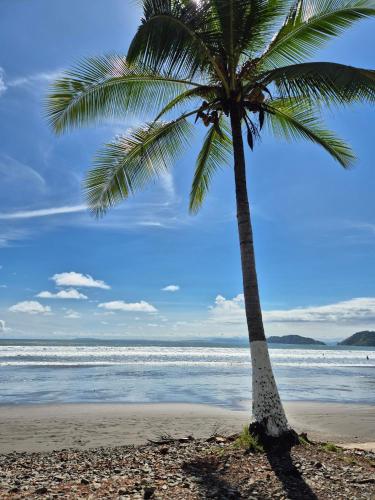 a palm tree on a beach with the ocean at Family getaway, pool, beach and surf in Jacó