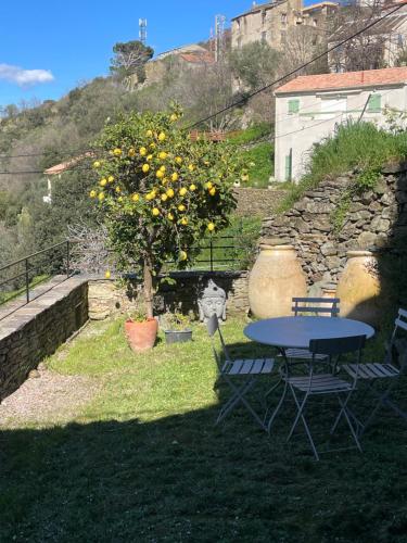 Gallery image of Maison de village 3 chambres 2 SDB avec terrasse & jardin - Proche St Florent in Pieve