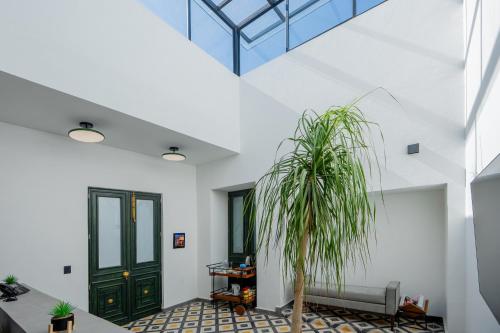 a room with white walls and a green door and a potted plant at Hotel Miranda Querétaro in Querétaro