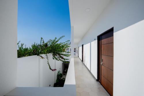 a hallway of a house with a plant on the wall at Hotel Miranda Querétaro in Querétaro