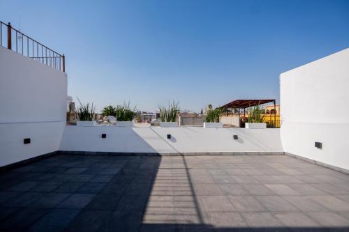 a skateboard ramp with plants on the side of a building at Hotel Miranda Querétaro in Querétaro