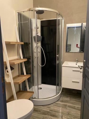 une salle de bain avec une douche avec des toilettes et un lavabo dans l'établissement Les cèdres, à Chalabre